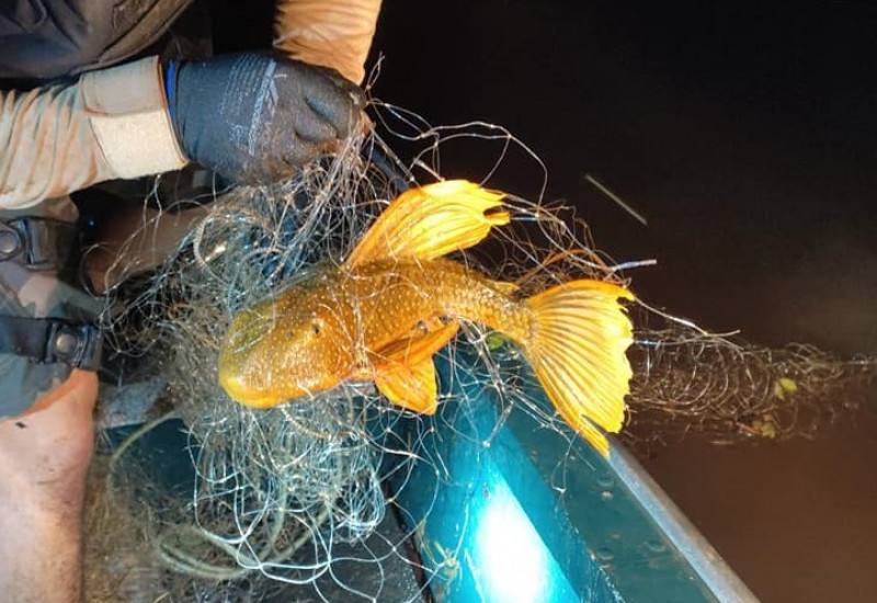 Fotos: PMA/Divulgação/JRTV