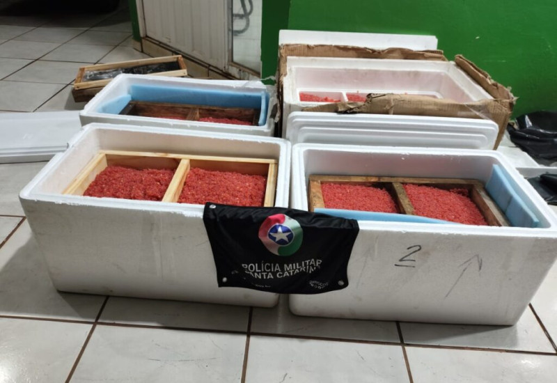 Divulgação/PM