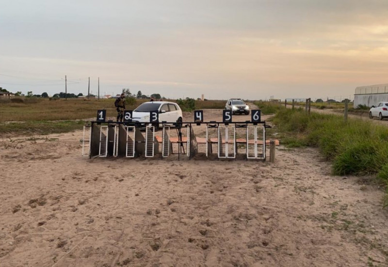 Foto: Divulgação/Polícia Civil