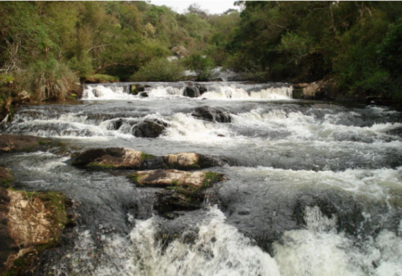 Foto: Marcionize Bavaresco/Sema