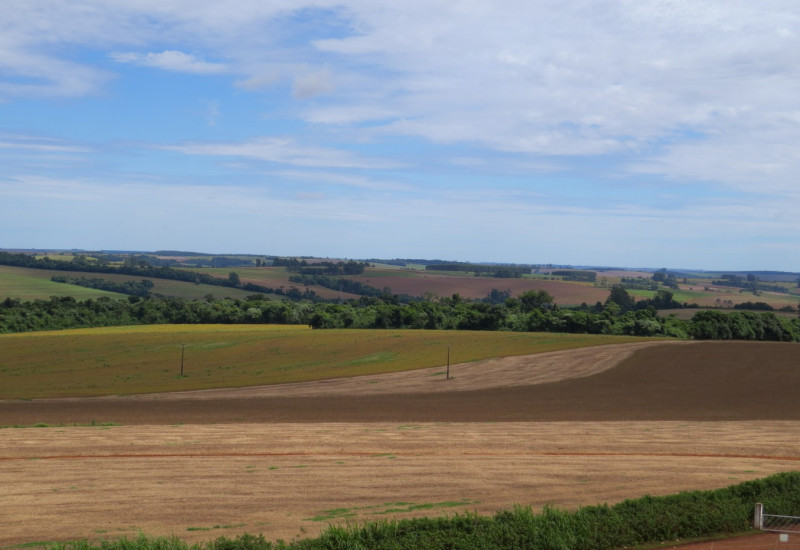 Foto: Divulgação/RuralCentro