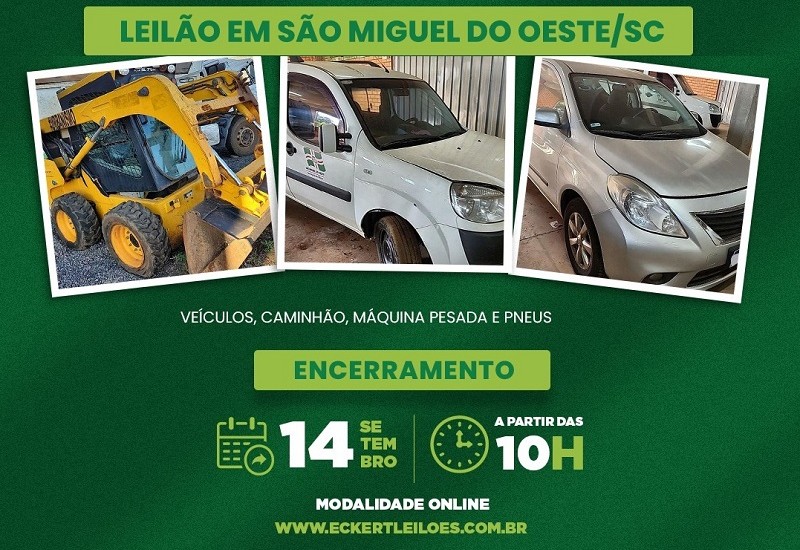 Divulgação