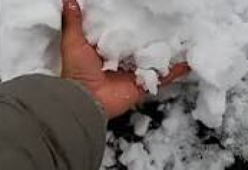 Imagem: Reprodução/ND