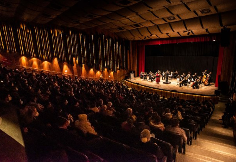 Foto: Tóia Oliveira/Camerata Florianópolis