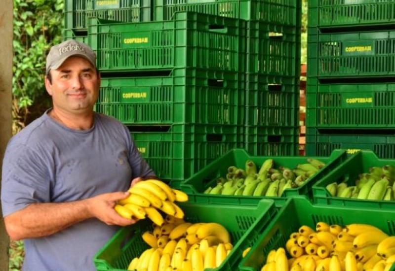Foto: Nilson Teixeira / Epagri