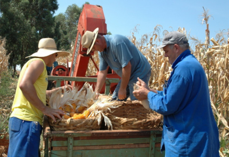 Foto: Aires Mariga/Epagri