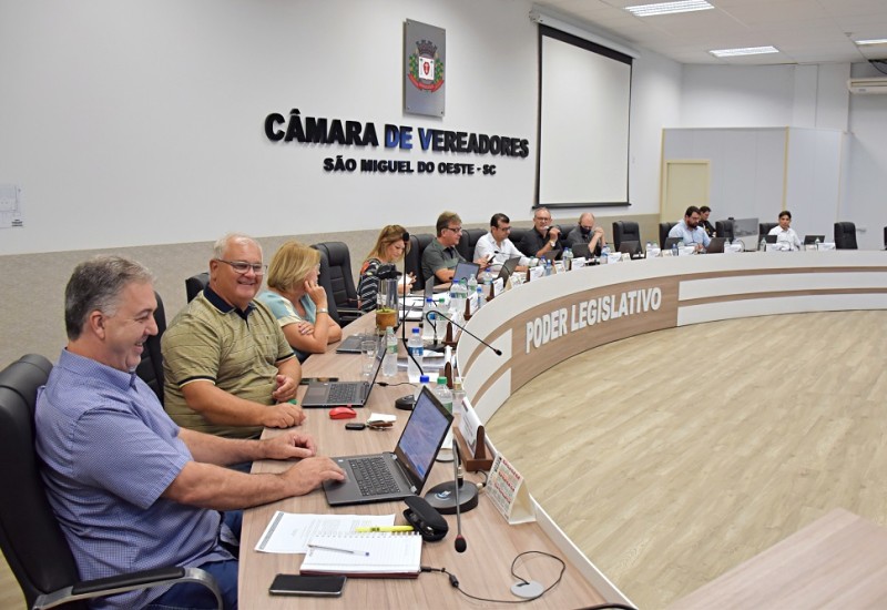 Foto: Tiarajú Goldschmidt/Câmara de Vereadores