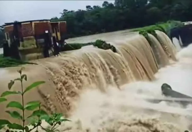 (foto: Reprodução/redes sociais)