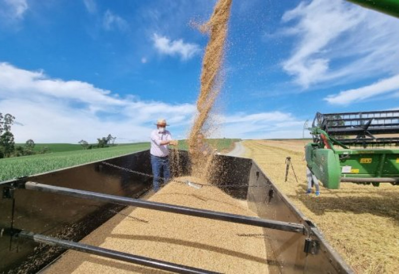 Foto: Divulgação / SAR