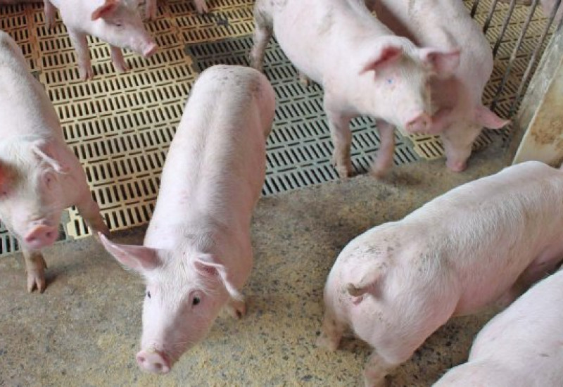 Foto: Divulgação/Arquivo/Secom