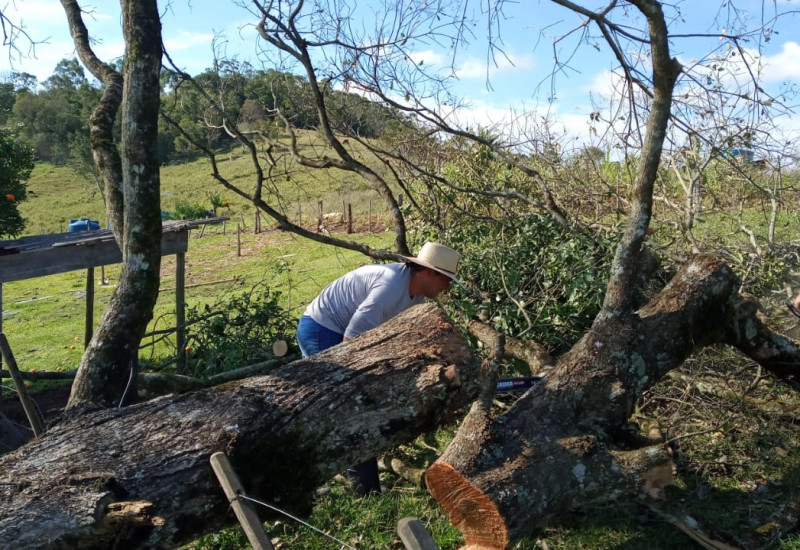 Fotos: Ascom/Divulgação/JRTV