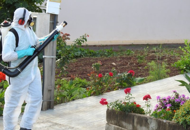 Foto: Ascom/Divulgação/JRTV