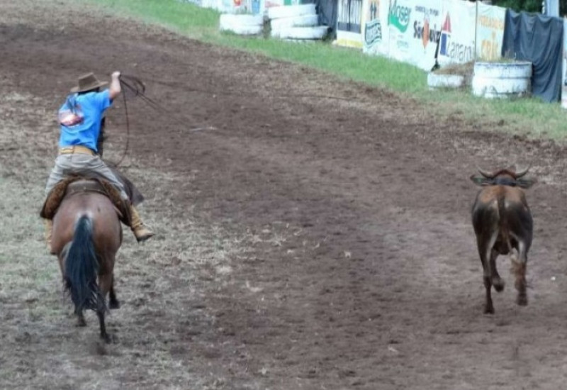 Rodeio deveria reunir mais de 100 equipes