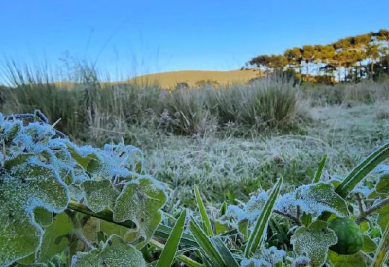 Foto: Mycchel Legnaghi/São Joaquim Online