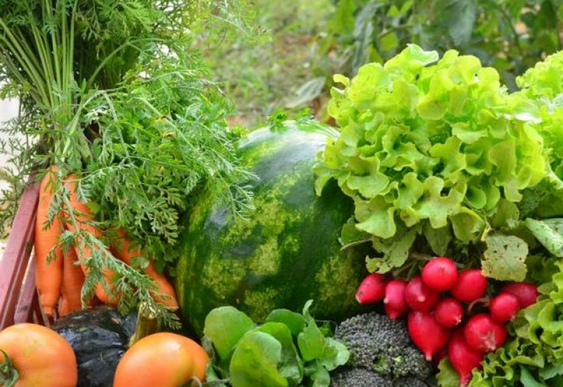 Foto: Divulgação/ Epagri