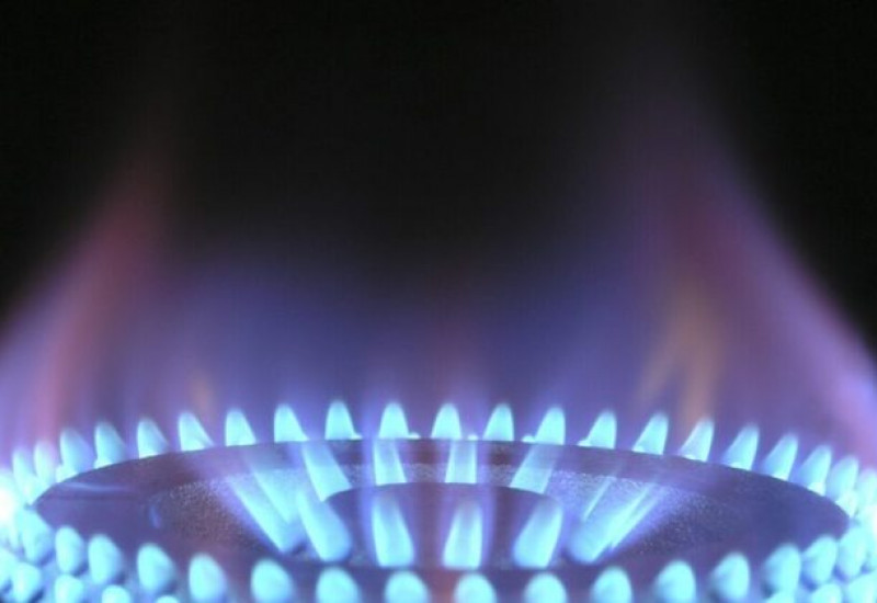 Foto: GUIA DA COZINHA/Divulgação