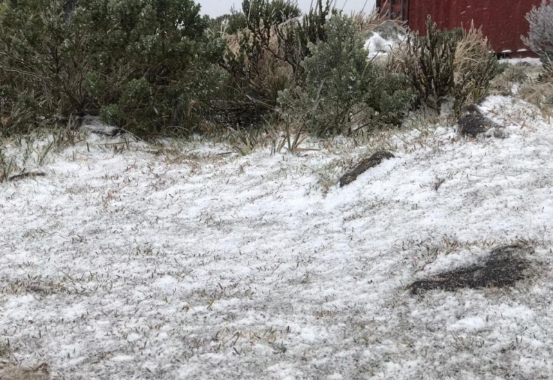 Neve no Morro das Torres em Urupema na tarde desta segunda — Foto: Eduarda Demeneck/NSC Tv