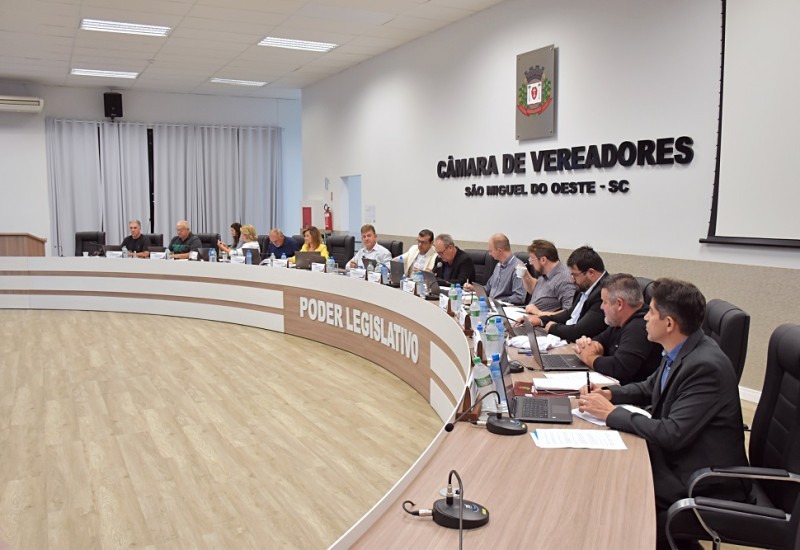 Foto: Tiarajú Goldschmidt/Câmara de Vereadores