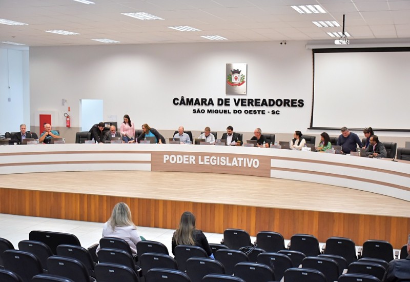 Foto: Tiarajú Goldschmidt/Câmara de Vereadores