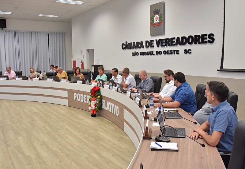 Foto: Tiarajú Goldschmidt/Câmara de Vereadores