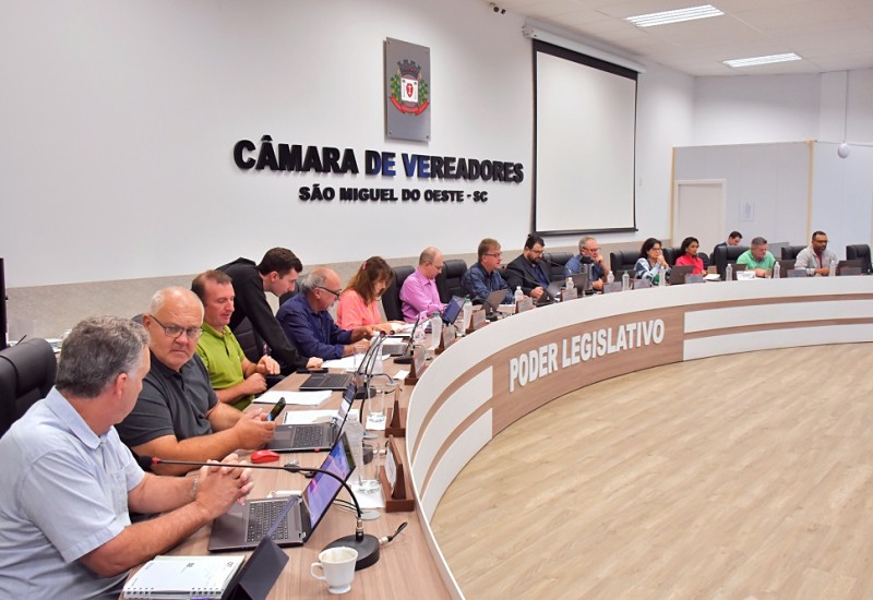 Foto: Tiarajú Goldschmidt/Câmara de Vereadores