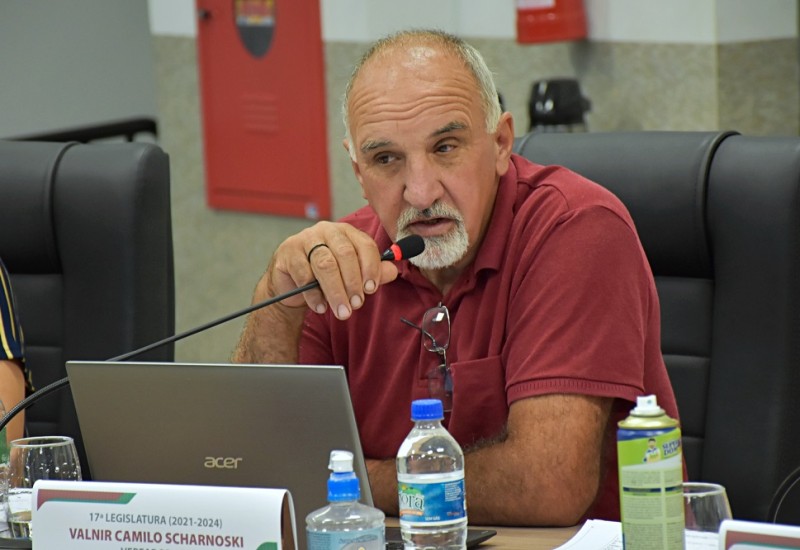 Nini Scharnoski pede remoção de vegetação em avenidas. Foto: Tiarajú Goldschmidt/Câmara de Vereadores