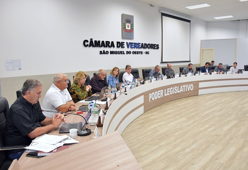 Foto: Tiarajú Goldschmidt/Câmara de Vereadores