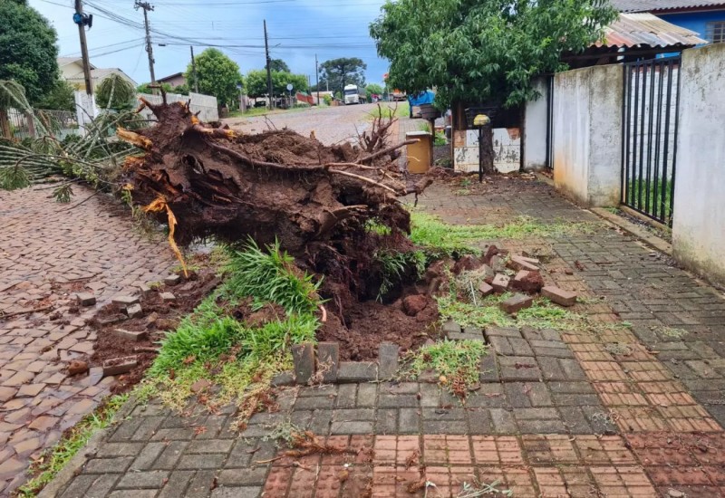 Foto: Defesa Civil/Reprodução
