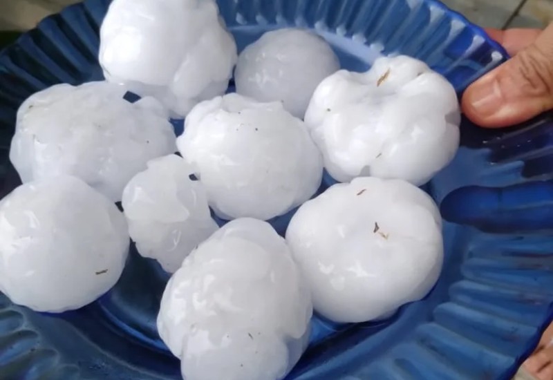 Foto: Reprodução Internet