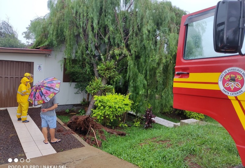 Fotos: Bombeiros/Divulgação/JRTV