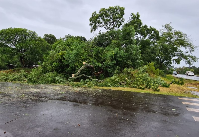 Divulgação/Defesa Civil
