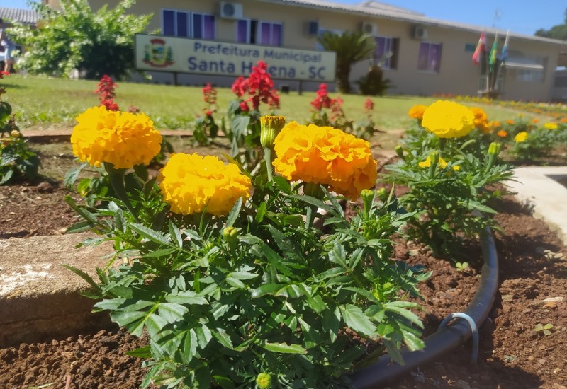 Foto: Ascom/Divulgação/JRTV