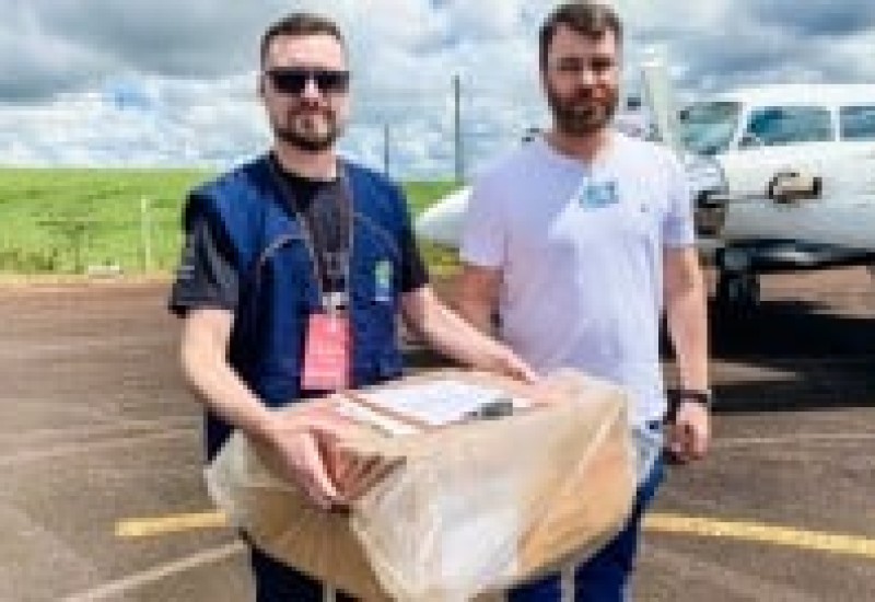 Foto: Cristian Lösch/Peperi