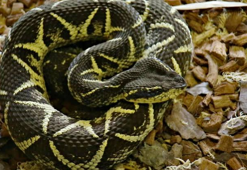 FOTO Reprodução/Arquivo/Prefeitura de Sorocaba