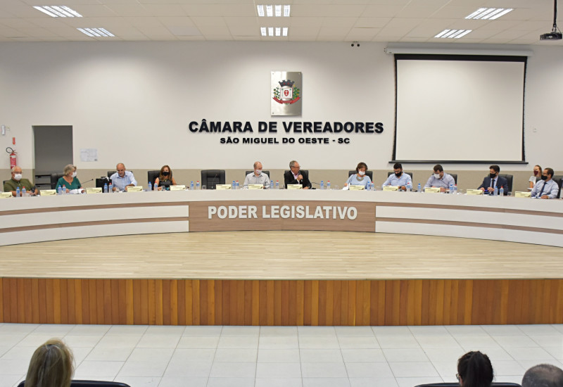 Vereadores elegeram membros das comissões durante sessão extraordinária.